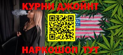 гидра Гатчина