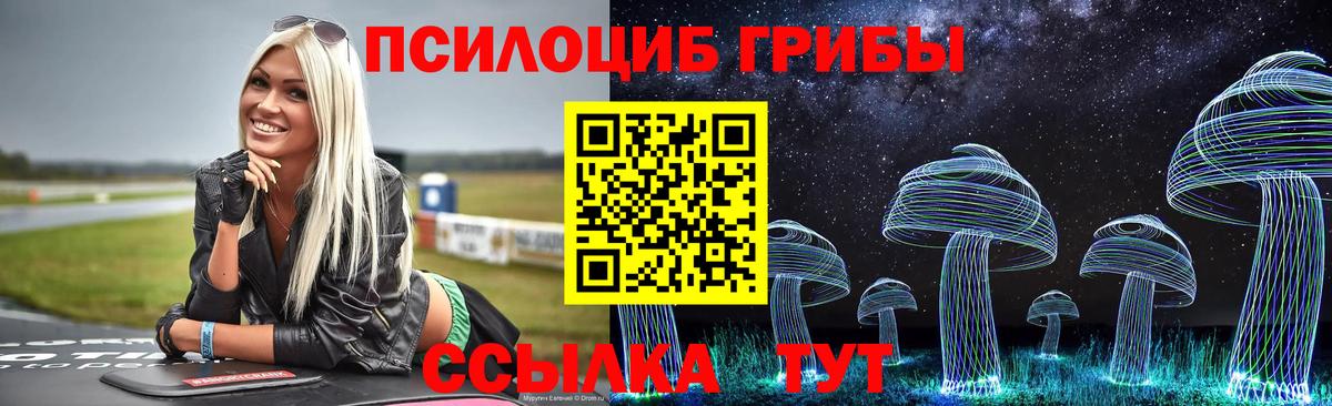 Псилоцибиновые грибы Psilocybine cubensis  Псилоцибиновые грибы мухоморы  Дедовск 